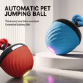1 Interactive Intelligent Dog Ball Toy